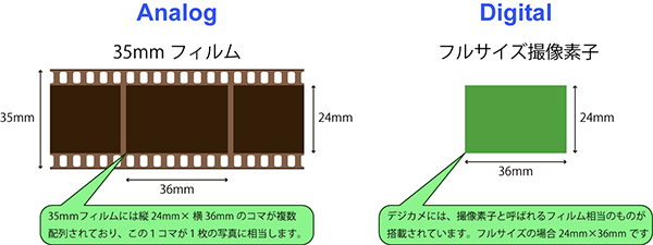 アナログフィルムとデジタル撮像素子
